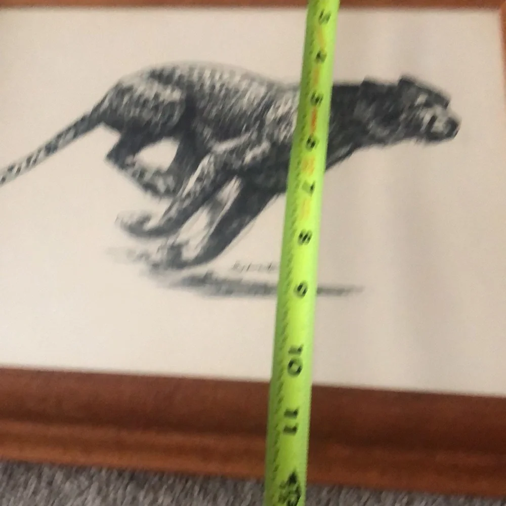 Vintage Art Etchings Drawing Cheetah Framed D.‎  Schwartz